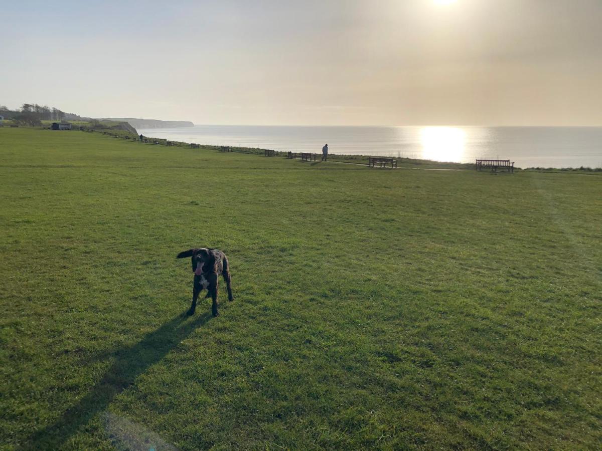 Dalis Den Lodge Bridlington Bagian luar foto